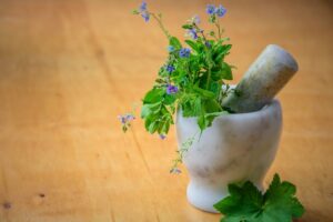 Read more about the article New Herbal Medicine Found